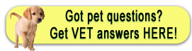 Pet Library Banner